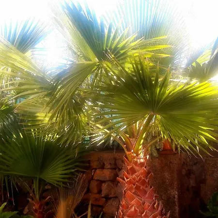 Casa Carlos Сasa de vacaciones Vilaflor