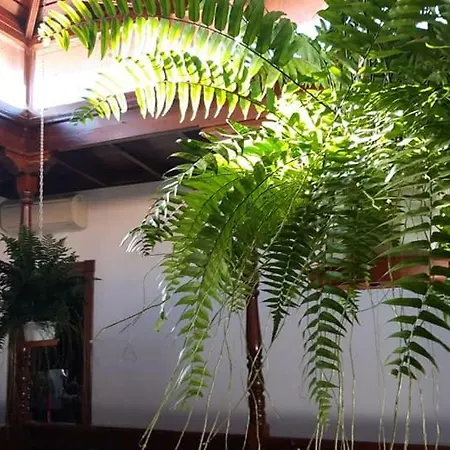 Casa Carlos بيت للعطل *