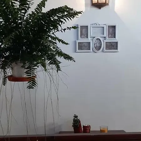 Casa de Férias Casa Carlos *